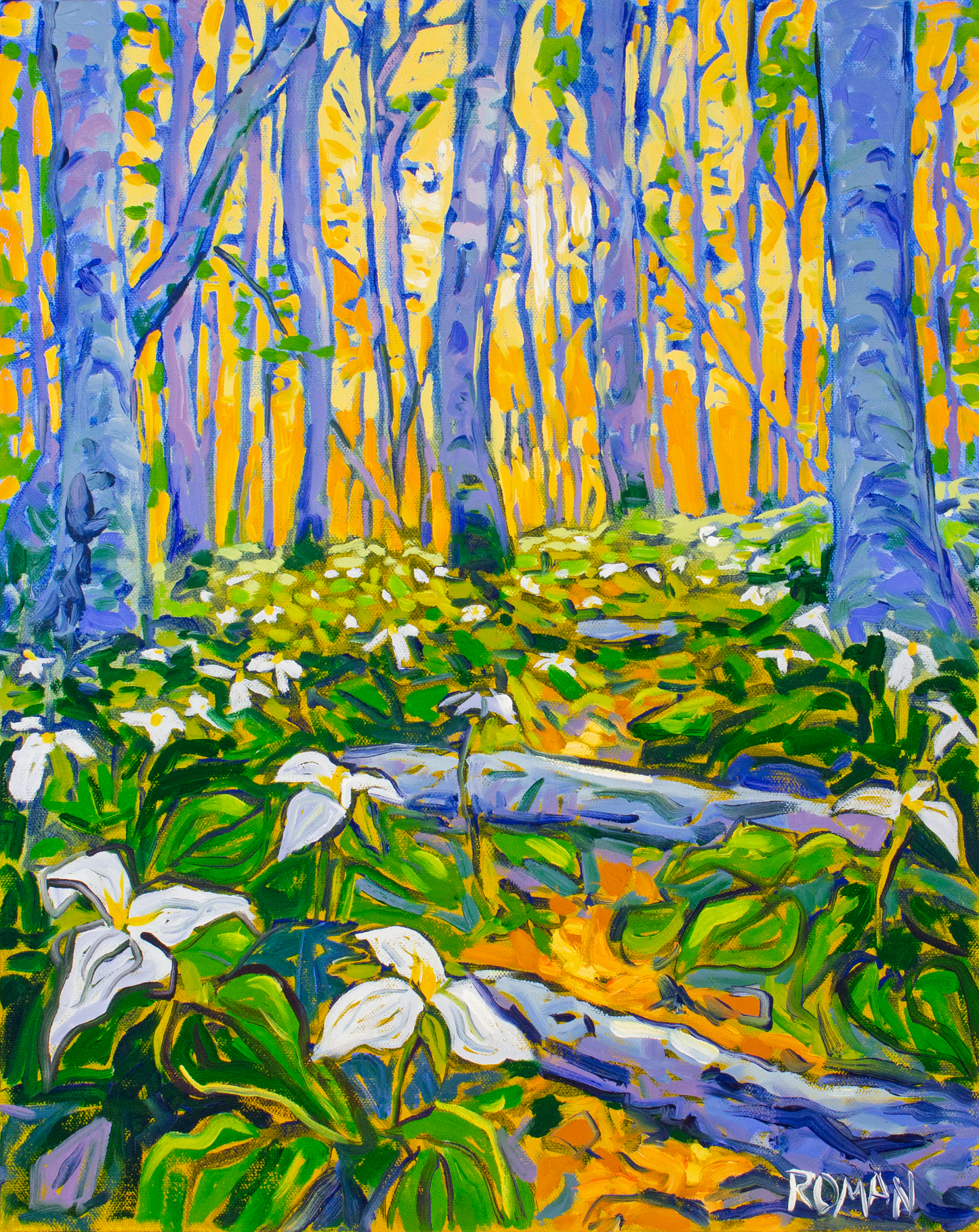 An original 16x20-inch oil painting titled Birch Forest Trilliums, depicting a birch forest in full bloom during spring. Tall, slender birch trees with cool blue and purple tones stretch upward, illuminated by golden sunlight filtering through the canopy. The forest floor is dense with green foliage and white trillium flowers, their delicate petals adding contrast against the earthy landscape. Impressionistic brushstrokes capture the movement of light and shadow, evoking the vibrant energy of a woodland awa