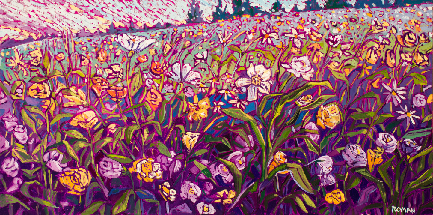 Field of Color - Open Edition Art Print