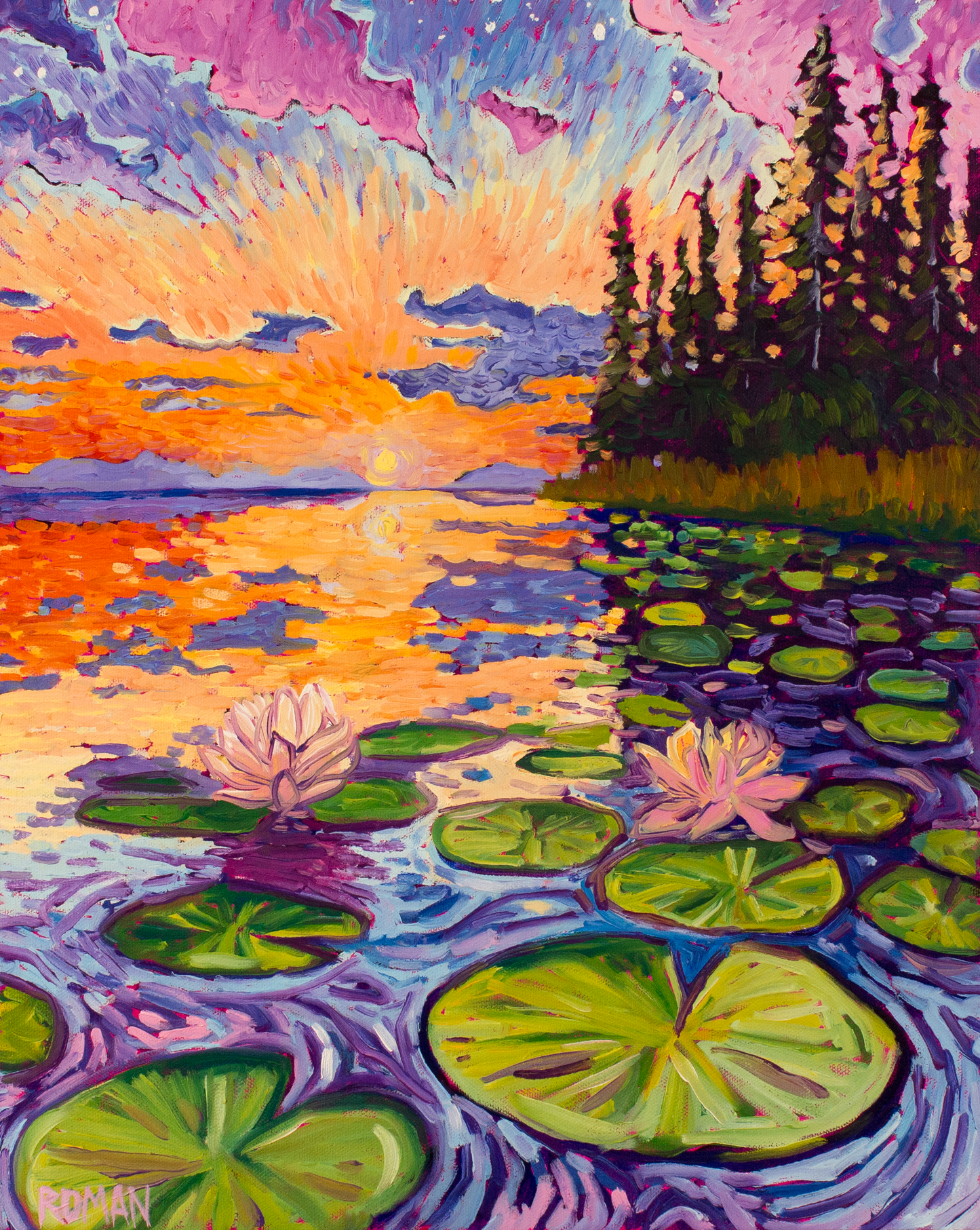 Lily Pad Sunset