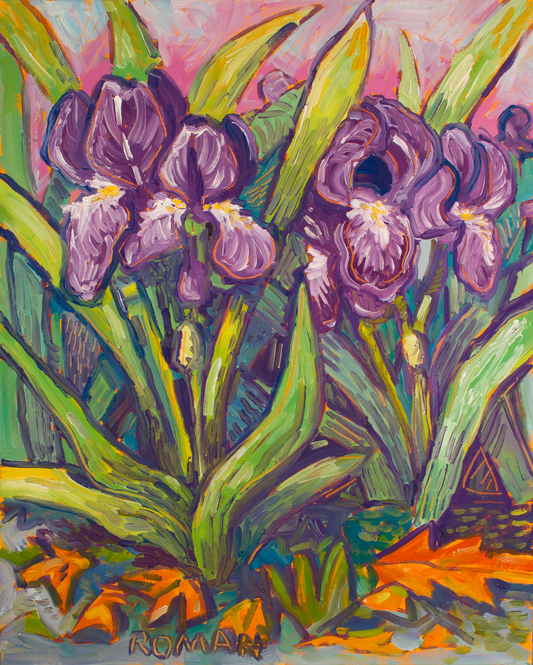 Purple Iris Bloom