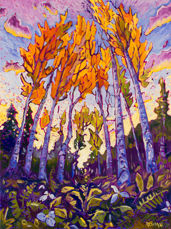 Deer Creek Birch