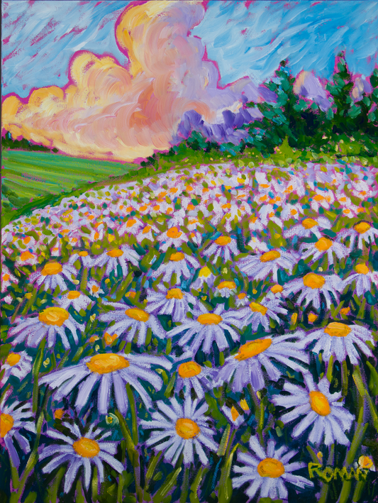 Field of Daisies