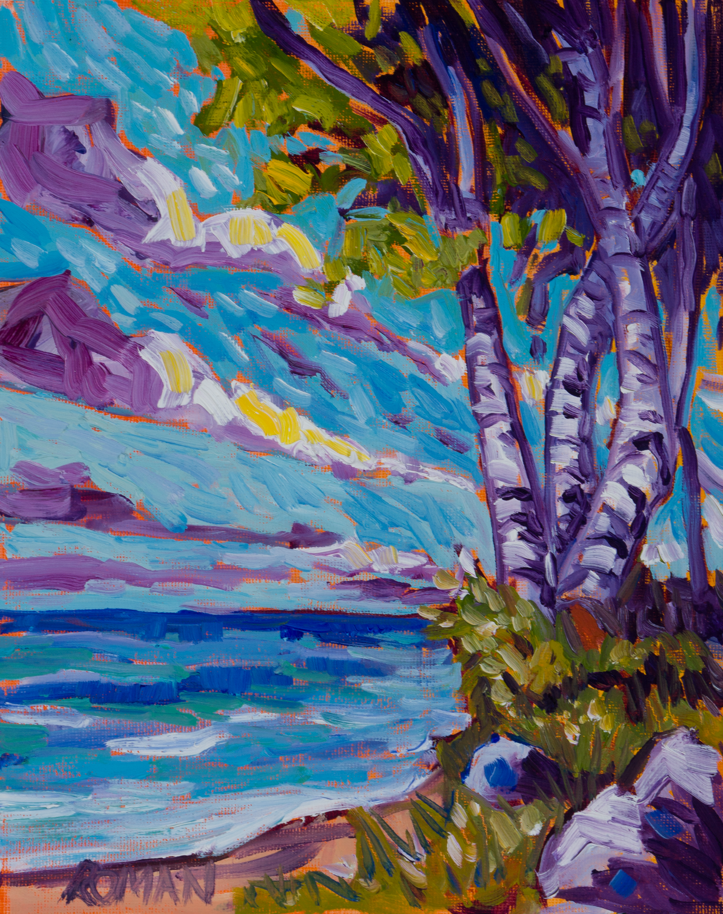 Birch Trees on the Edge