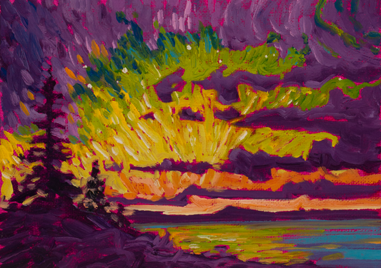 Northern Lights Over Lake Michigan