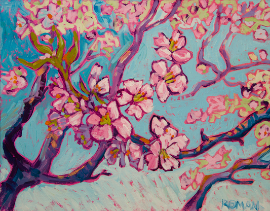 Cherry Blossoms - 11x14 Oil Painting