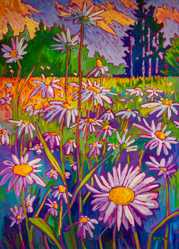 Evening Daisies