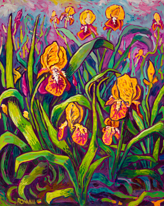 Yellow and Purple Irises
