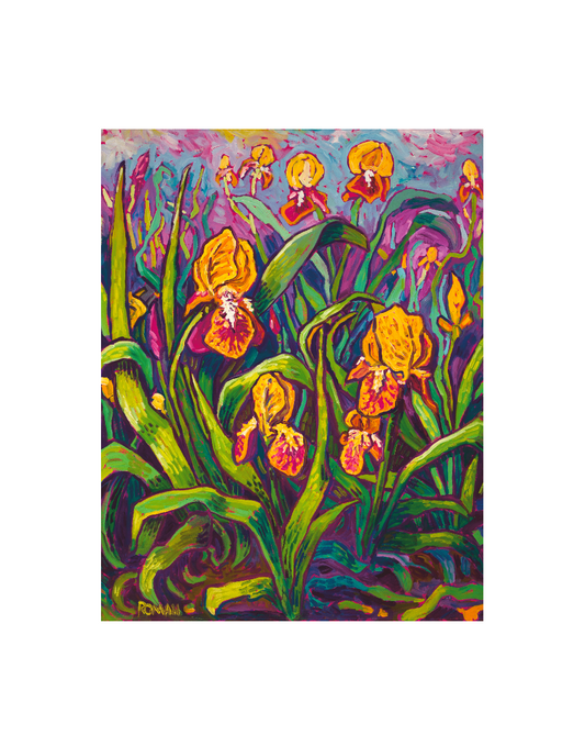 Yellow and Purple Irises — Archival Paper Print